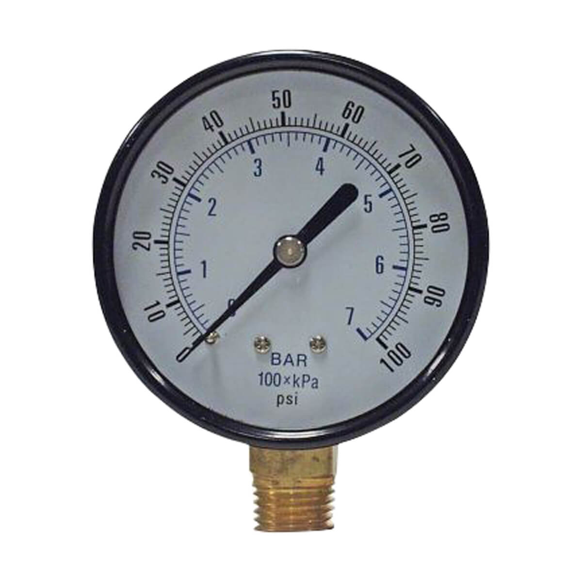 Dry Pressure Gauge - 2-1/2-in - 100 PSI