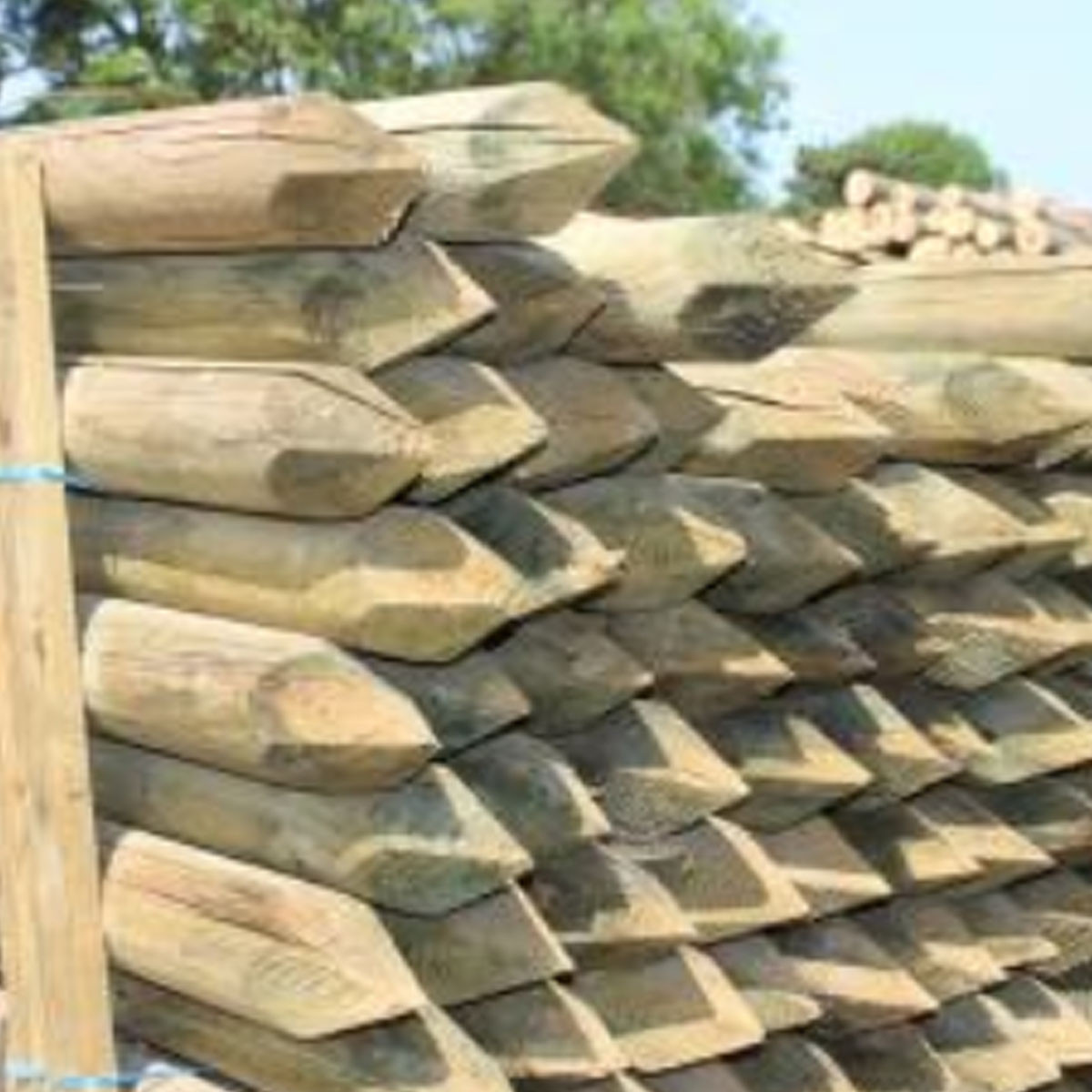 Peeled Fence Posts - Pointed - 3-in x 7-ft