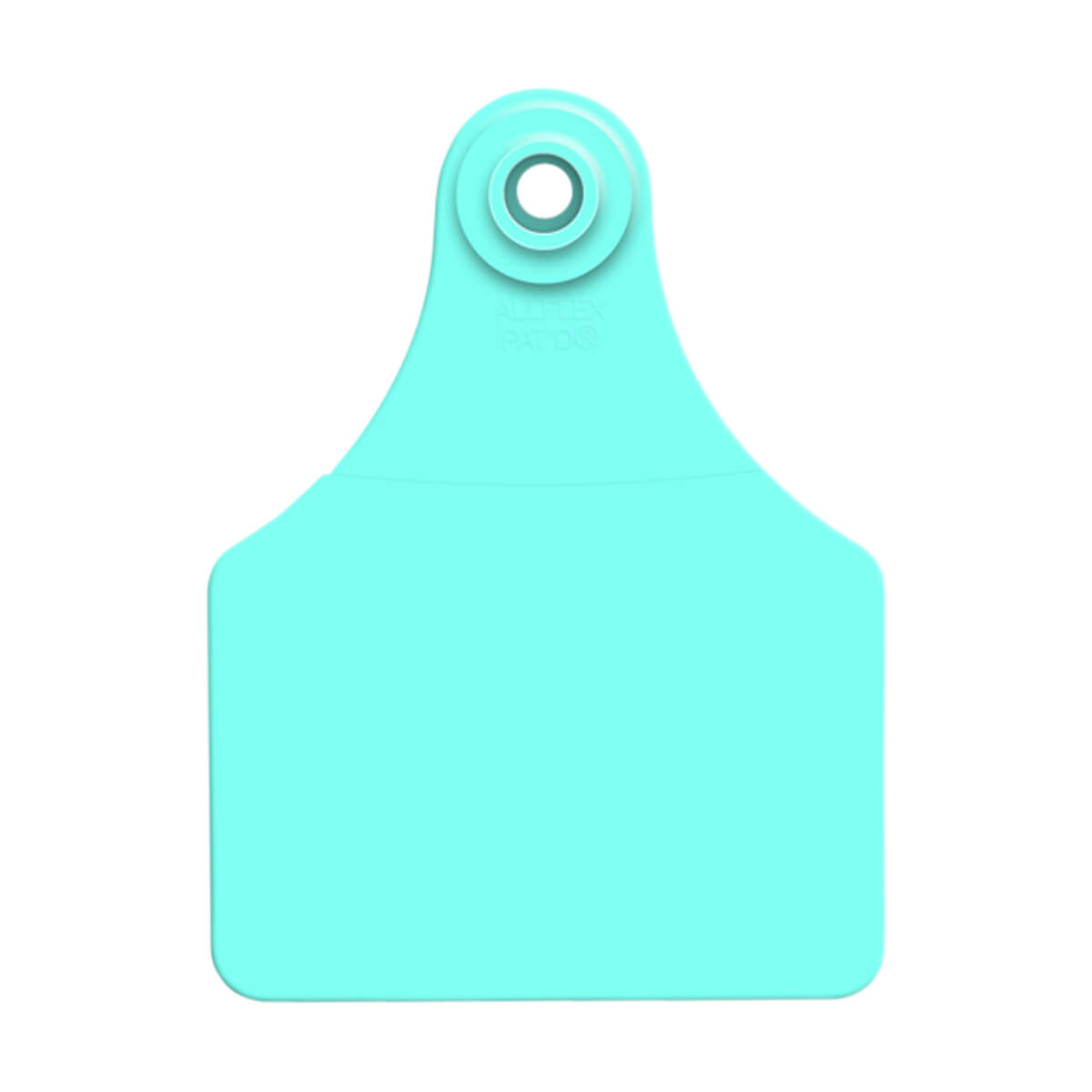 Large / Blue