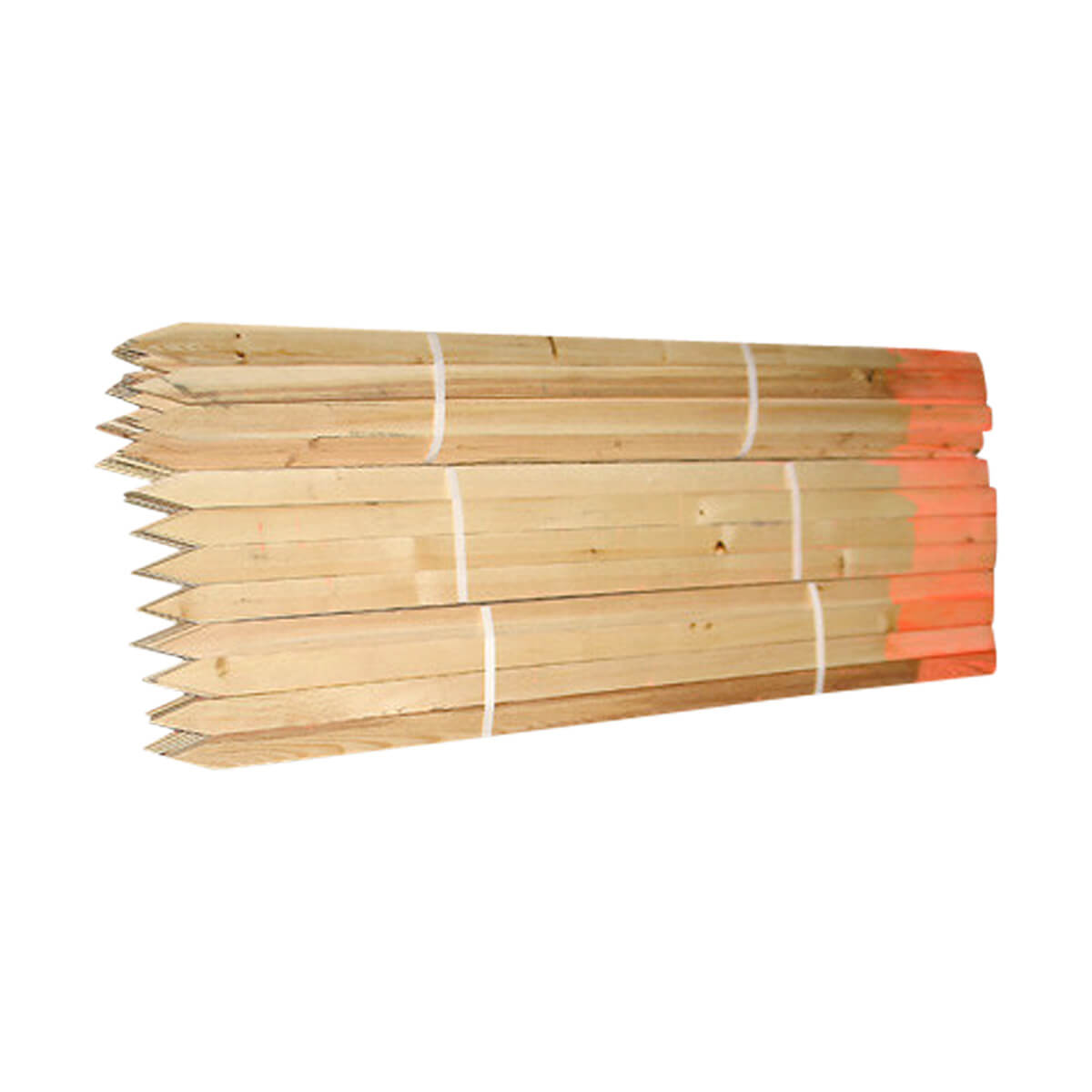 Sharpened Painted Lath - 3/8-in x 48-in - Orange Top