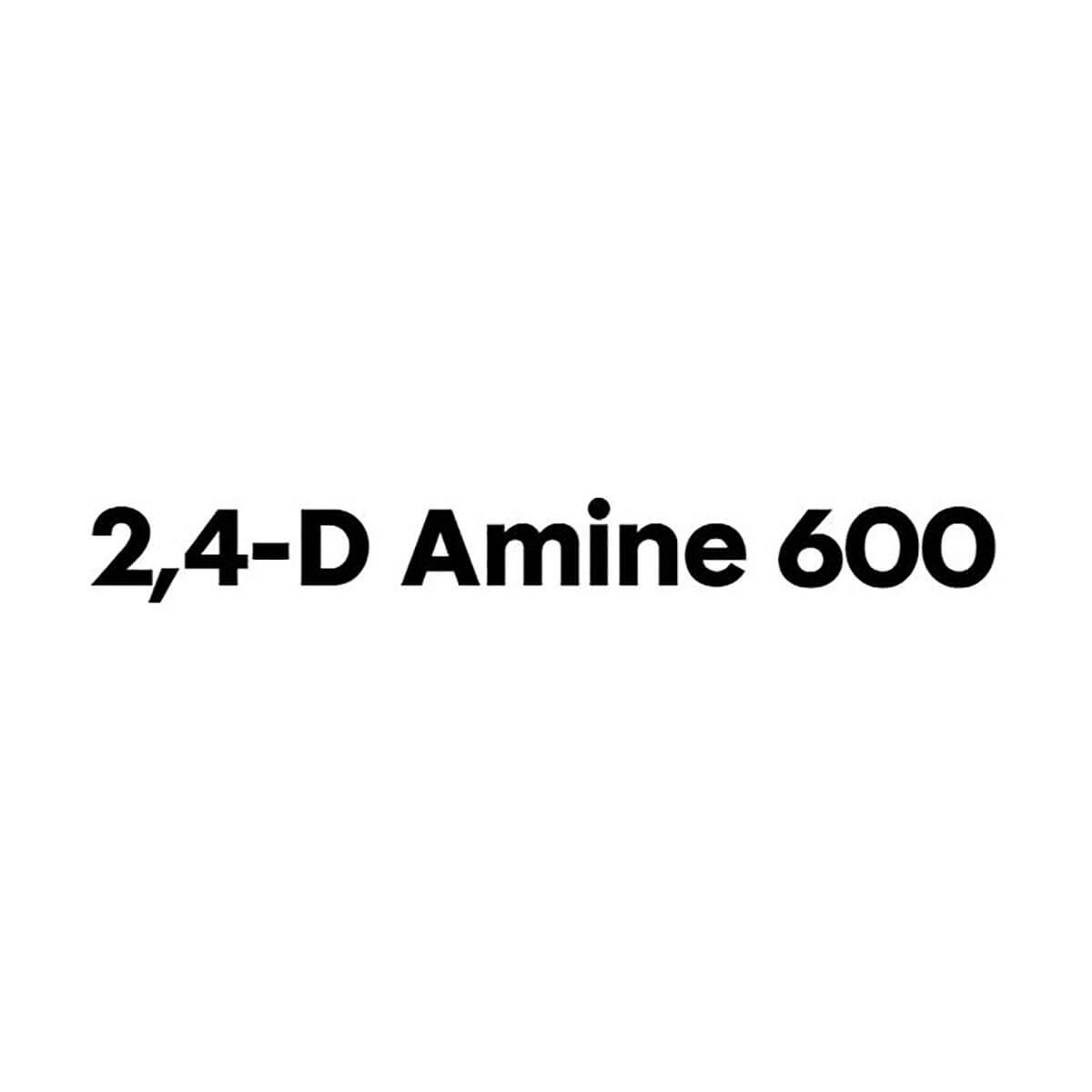 2,4-D AMINE 10L