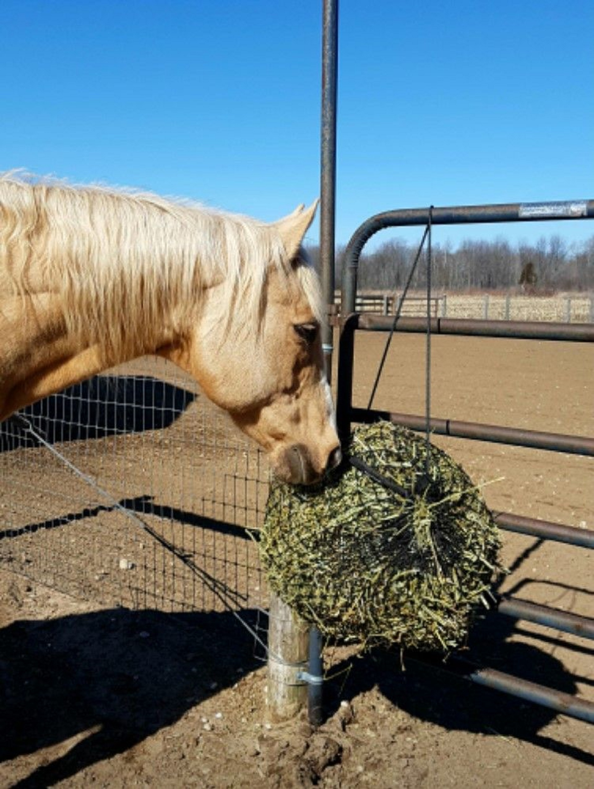 SMALL HAY NET FOR SNACKING - 1-2 FLAKES OF HAY
