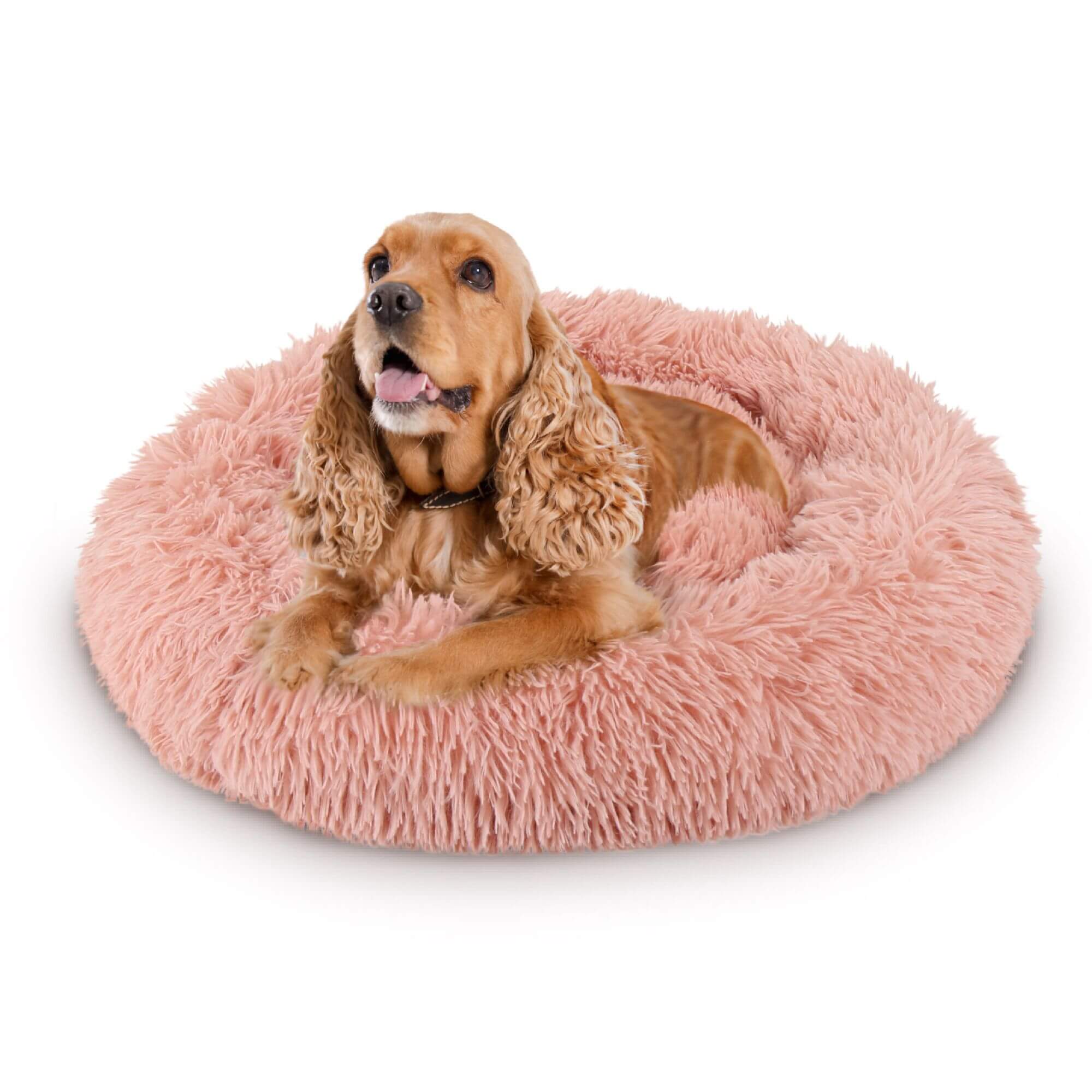 Show and Tail The Powdered Dog-nut, Pink - XL