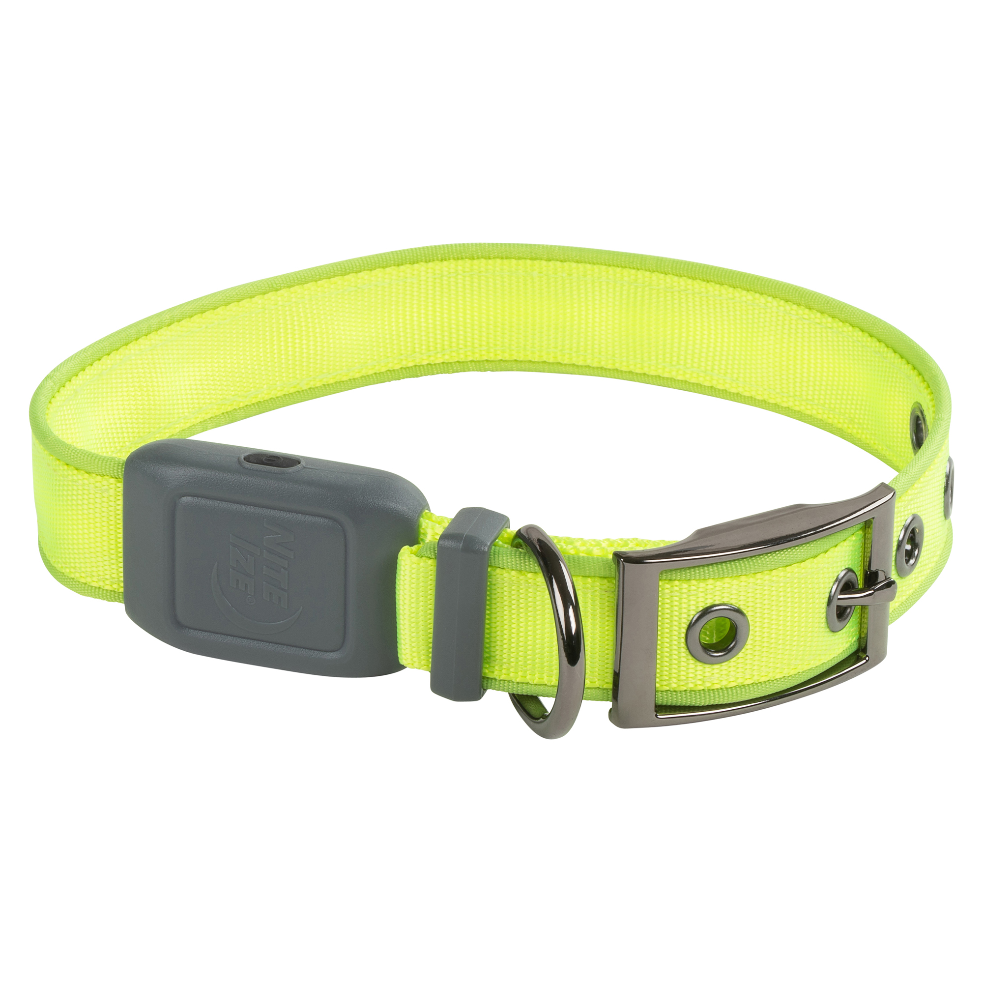 Nite Ize NiteDog Rechargeable LED Collar, Lime Green