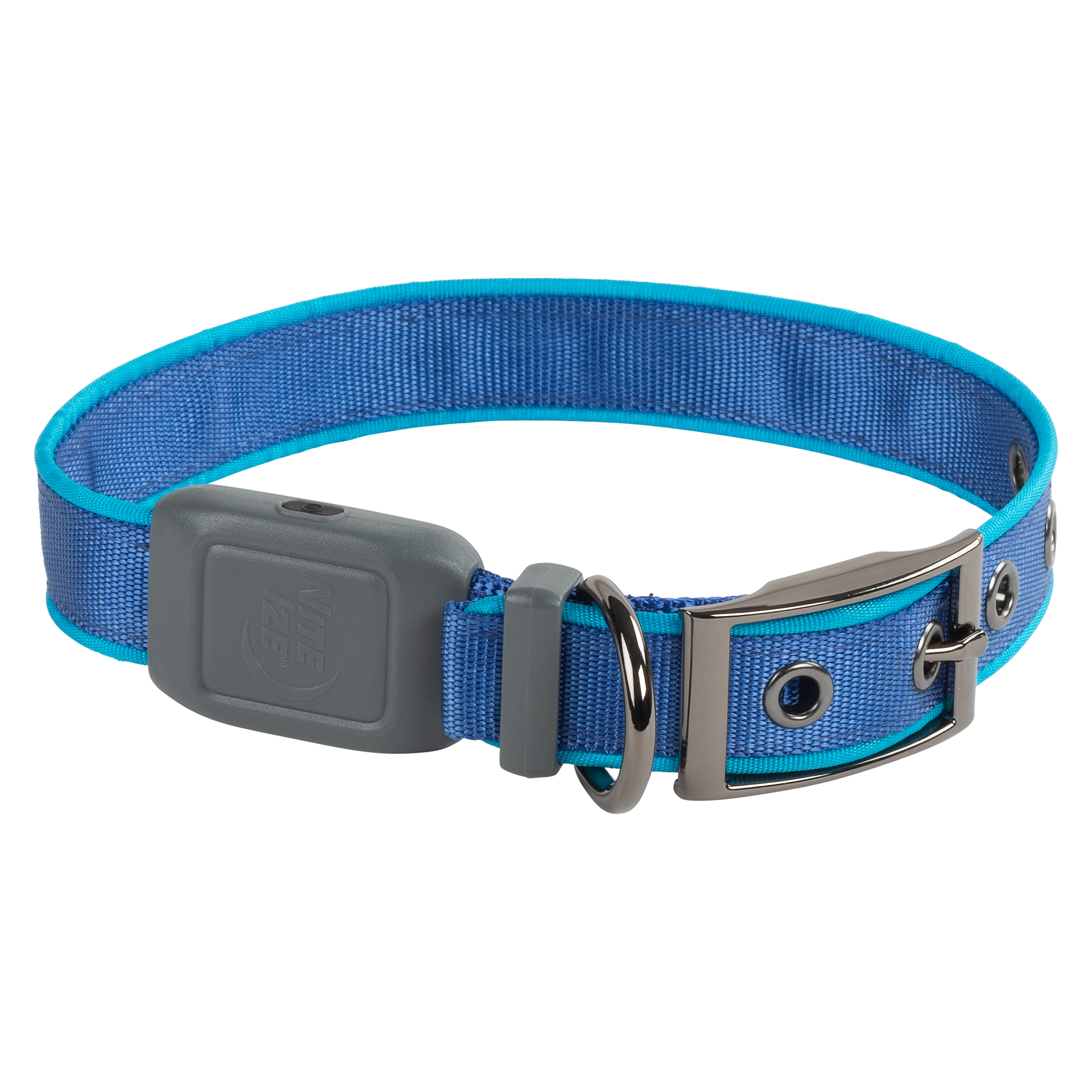 Nite Ize NiteDog Rechargeable LED Collar, Blue