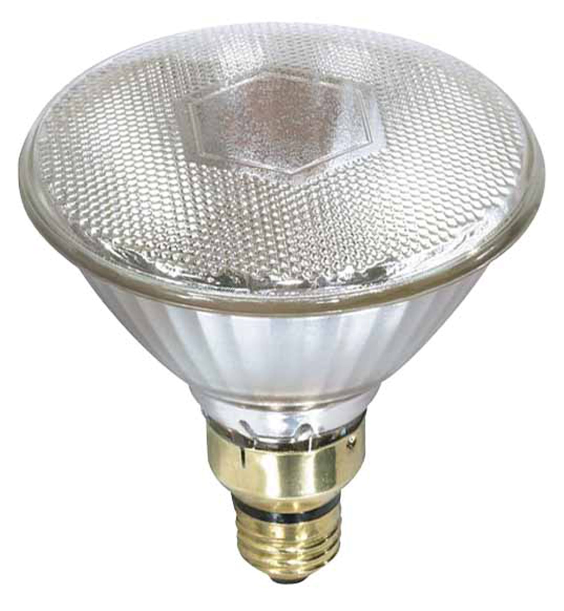 Heat Lamp Bulb Clear 100 Watt