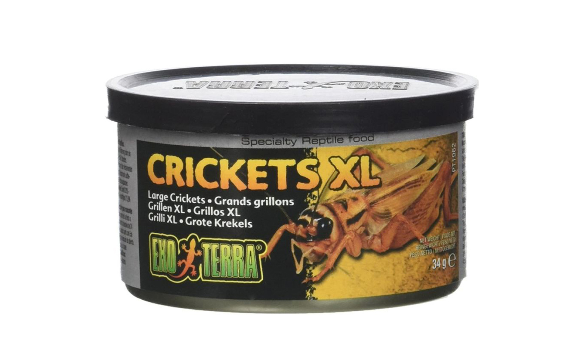 Canned Crickets XL Specialty Reptile Food, 1.2 oz