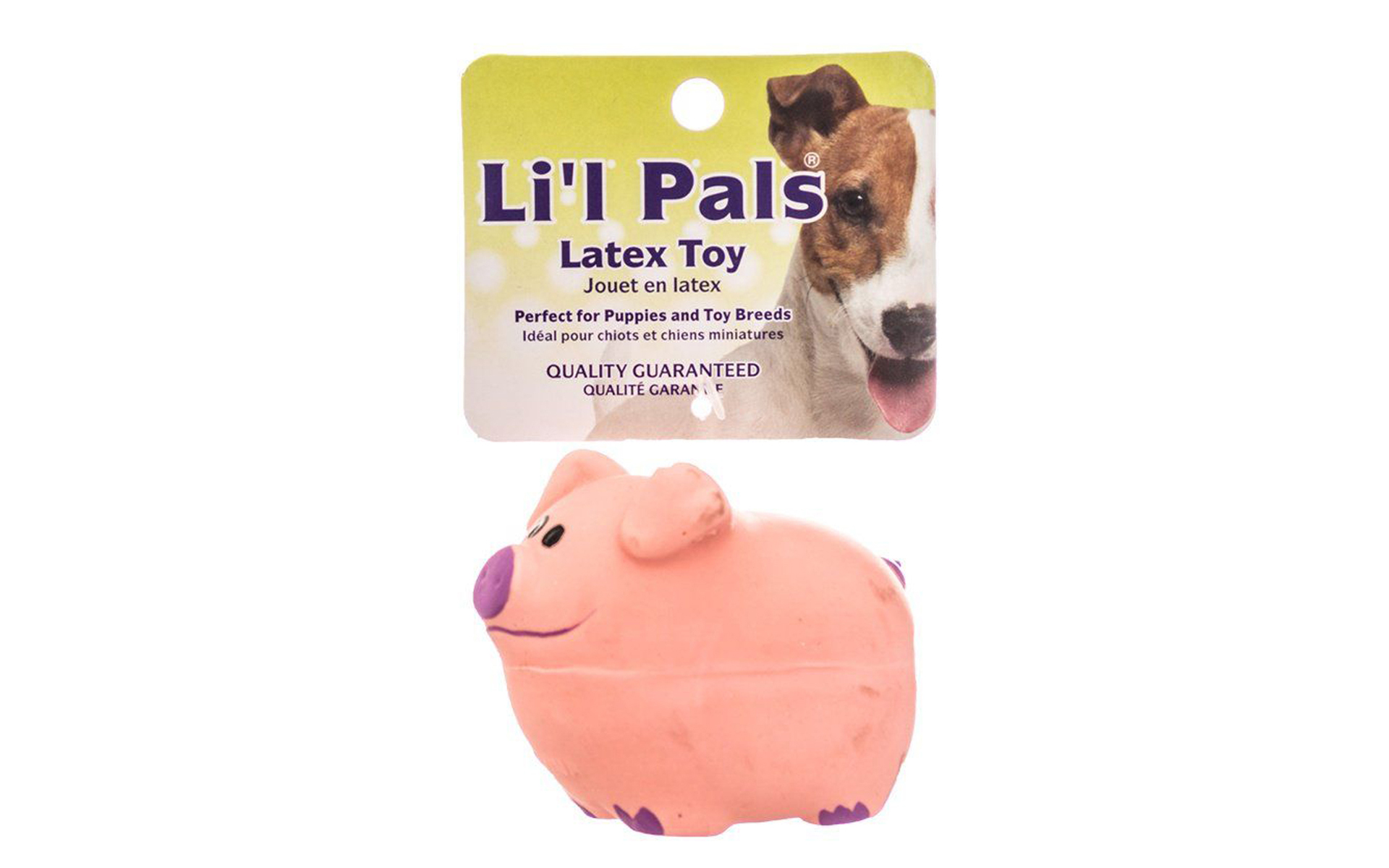 Latex Pig Dog Toy, 3" Long