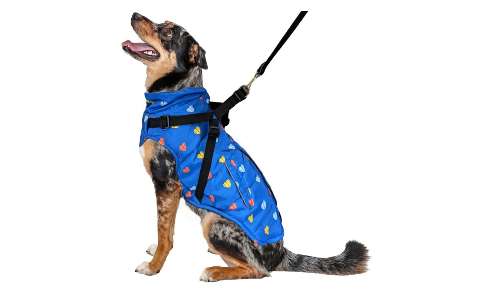 Puffy Heart Harness Coat Blue