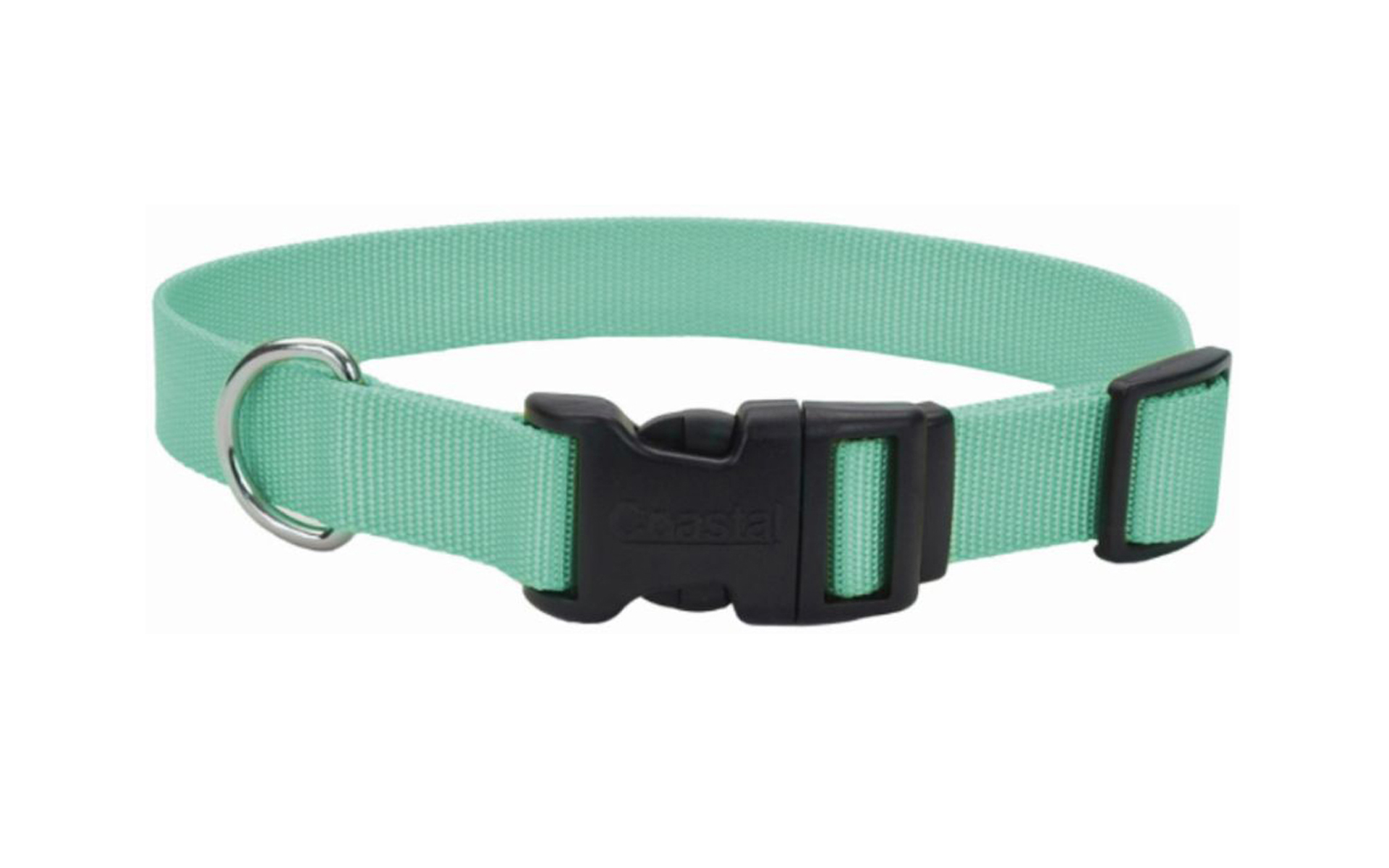 Teal Nylon Tuff Dog Collar with Plastic Buckle