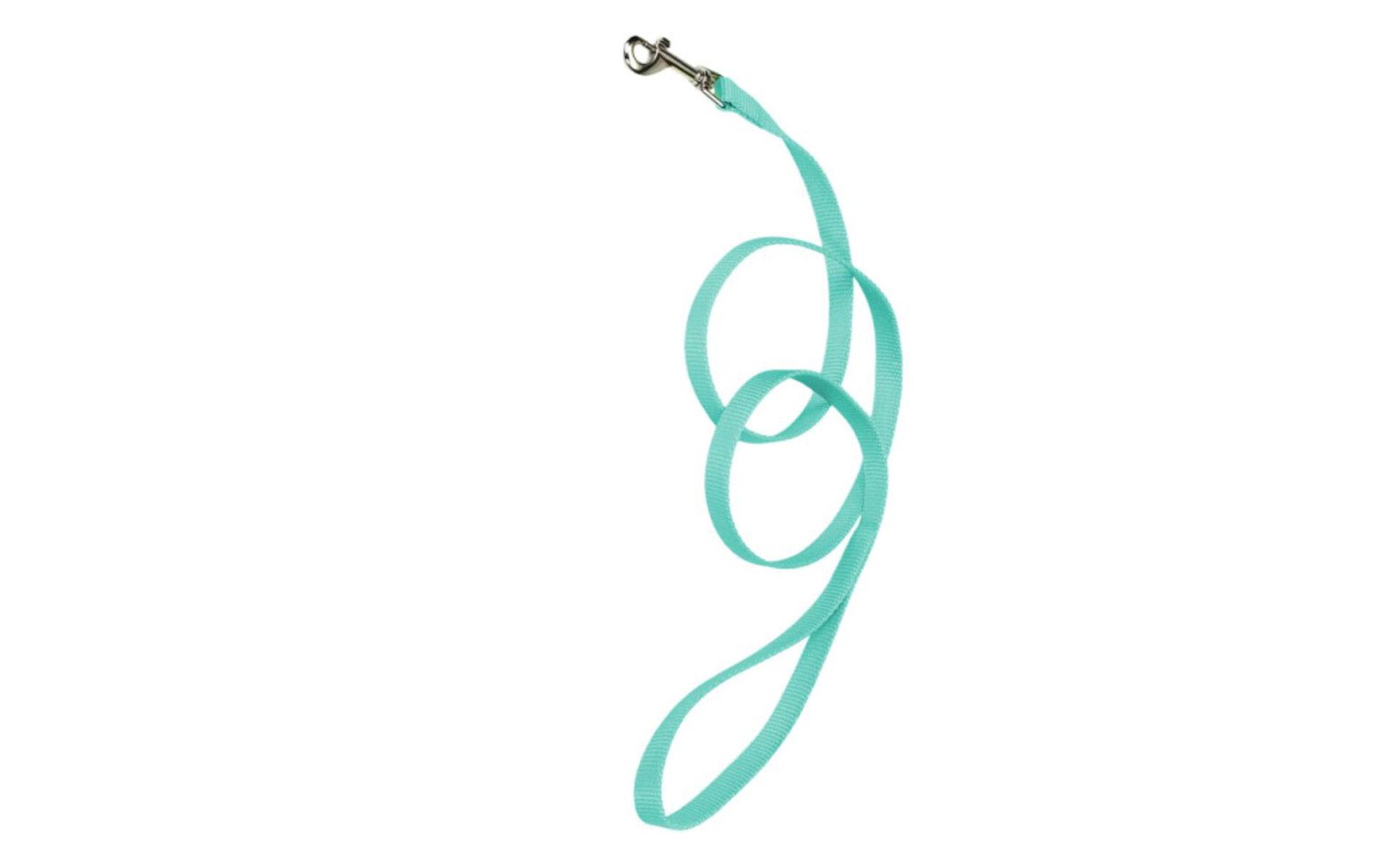 Single-ply Teal Nylon Dog Lead