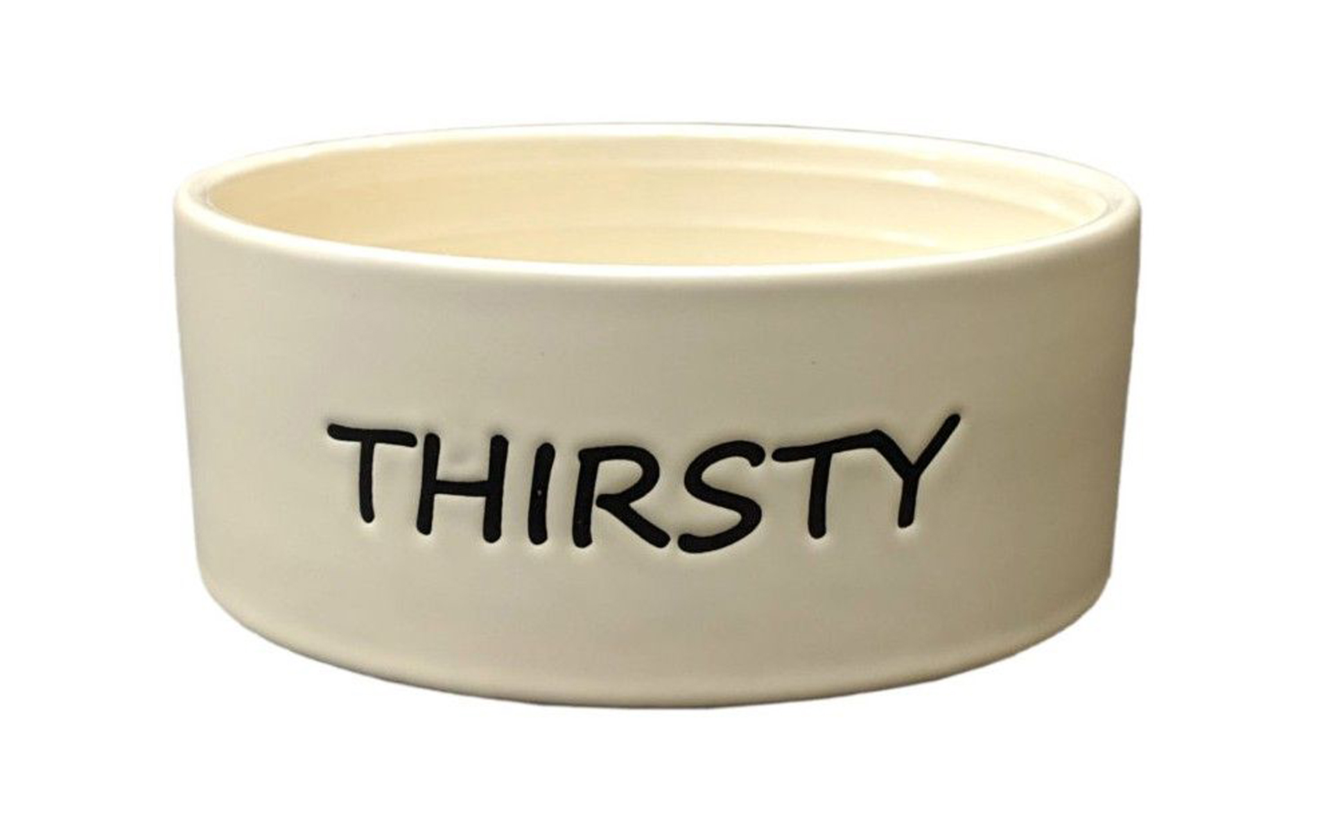 Spot Thirsty Dog Dish Water Bowl