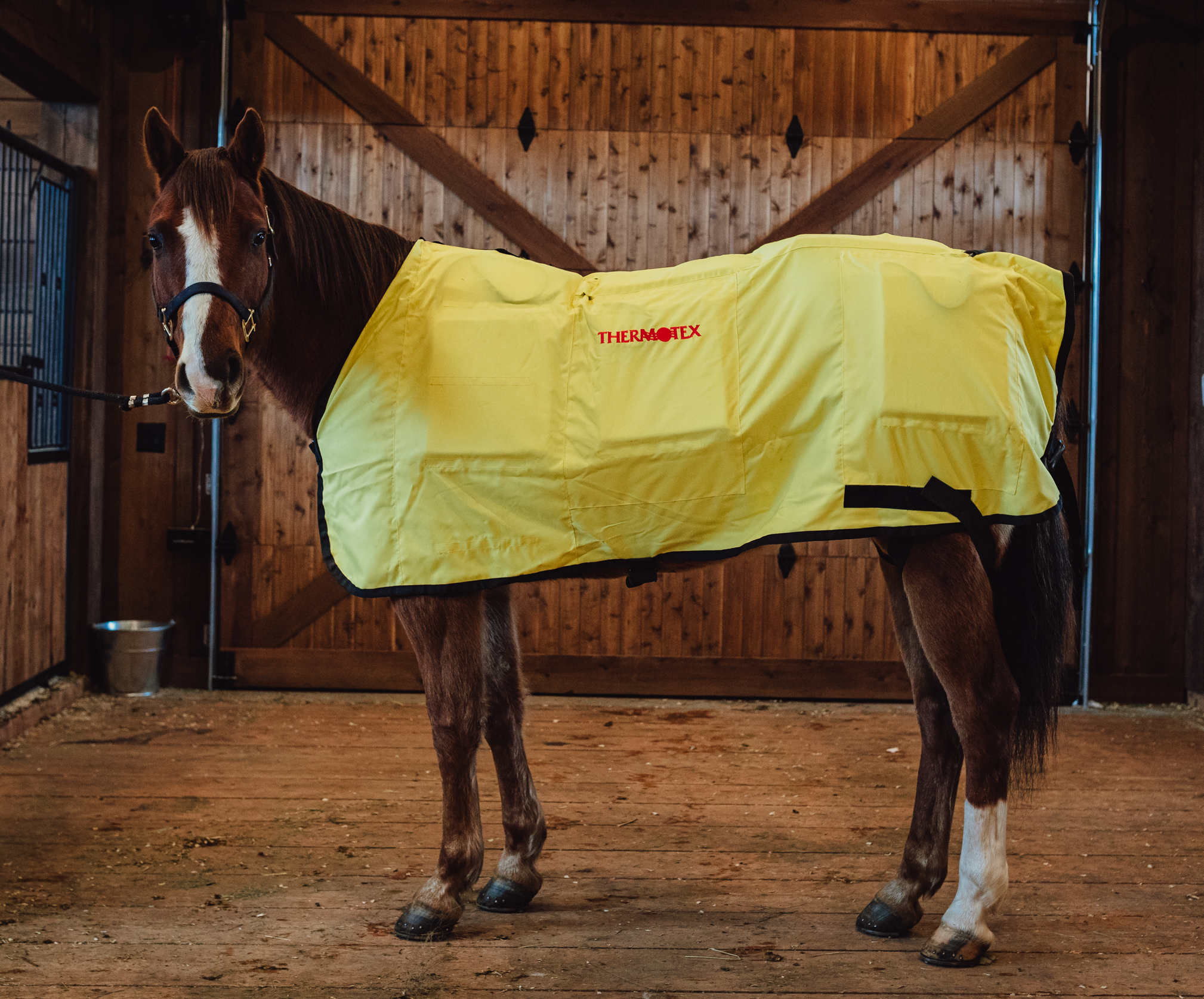 Equine 12-pad Far Infrared Heating pad