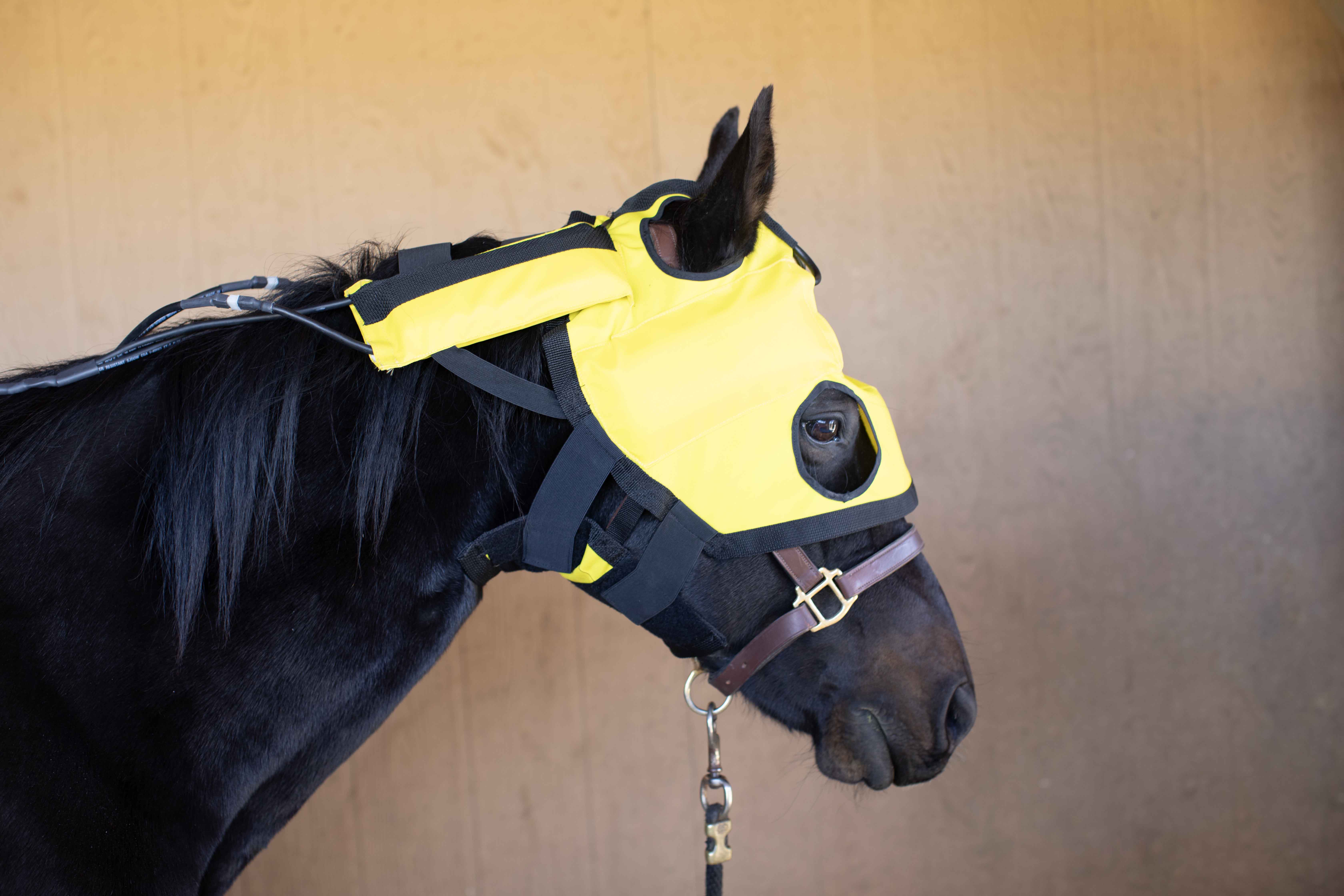 Equine Far Infrared Heating TMJ Hood