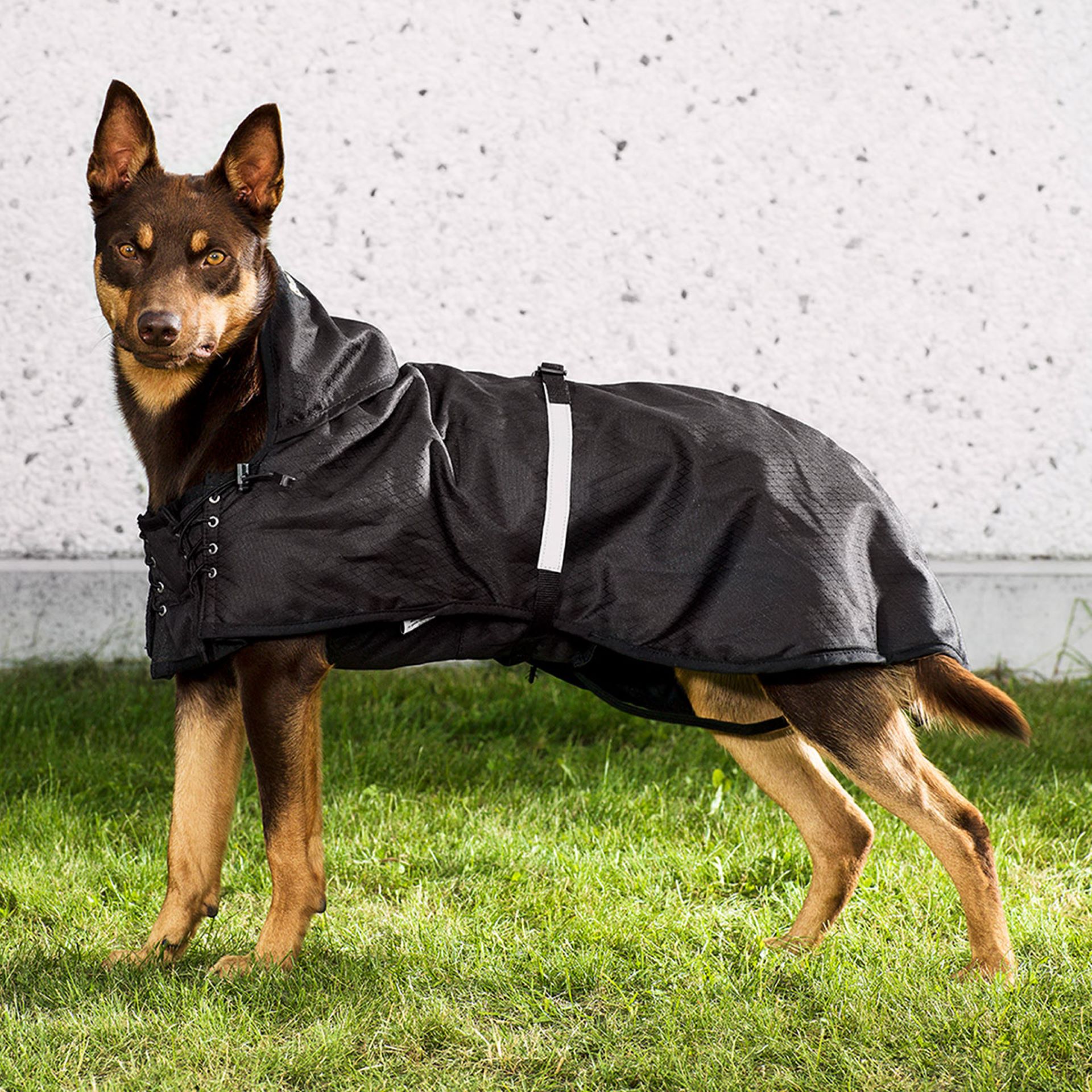 Multi Season Dog Coat