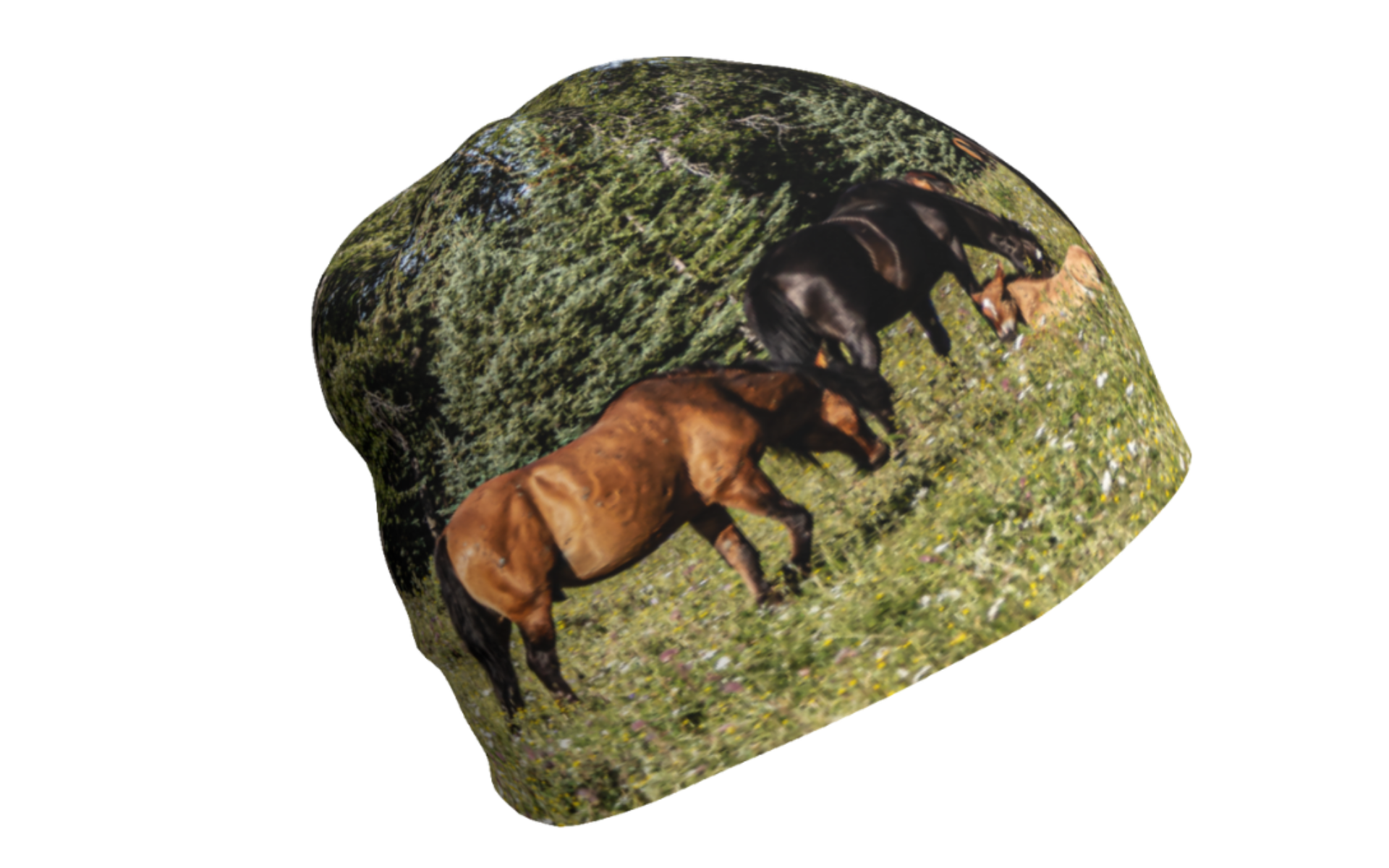 Adult Beanie Wild Horses