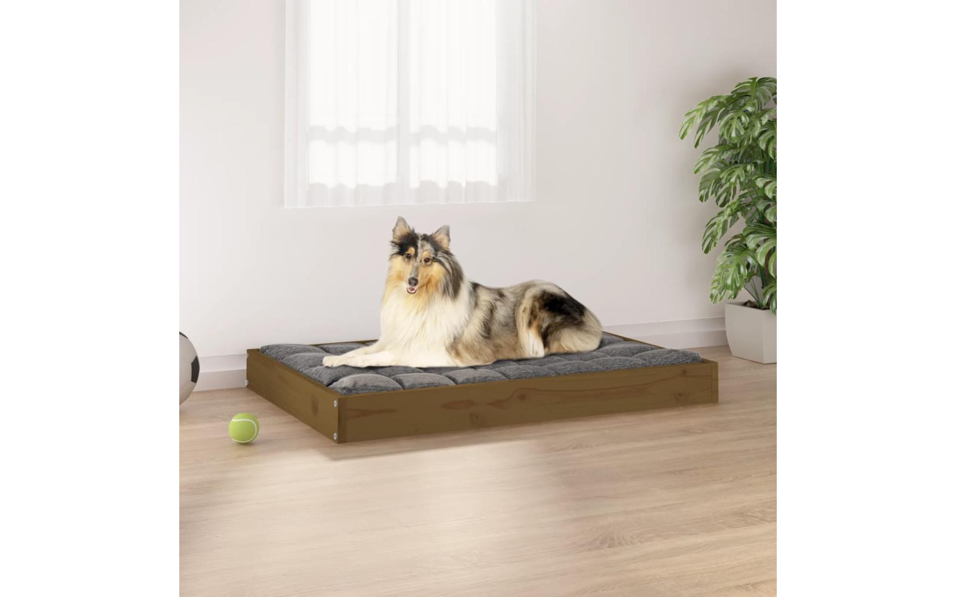 Dog bed Honey brown 91.5x64x9 cm Solid pine wood