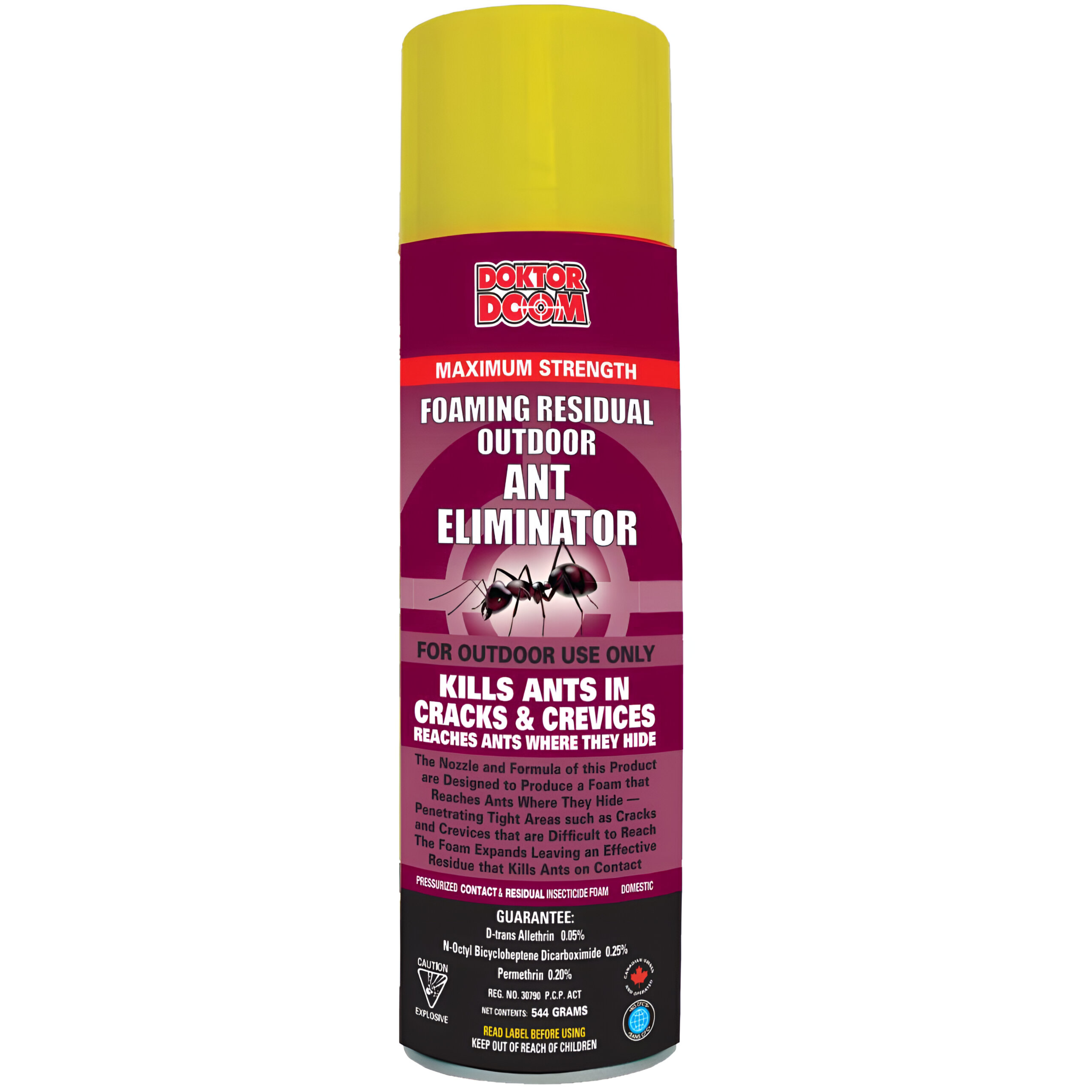 Foam Ant Eliminator