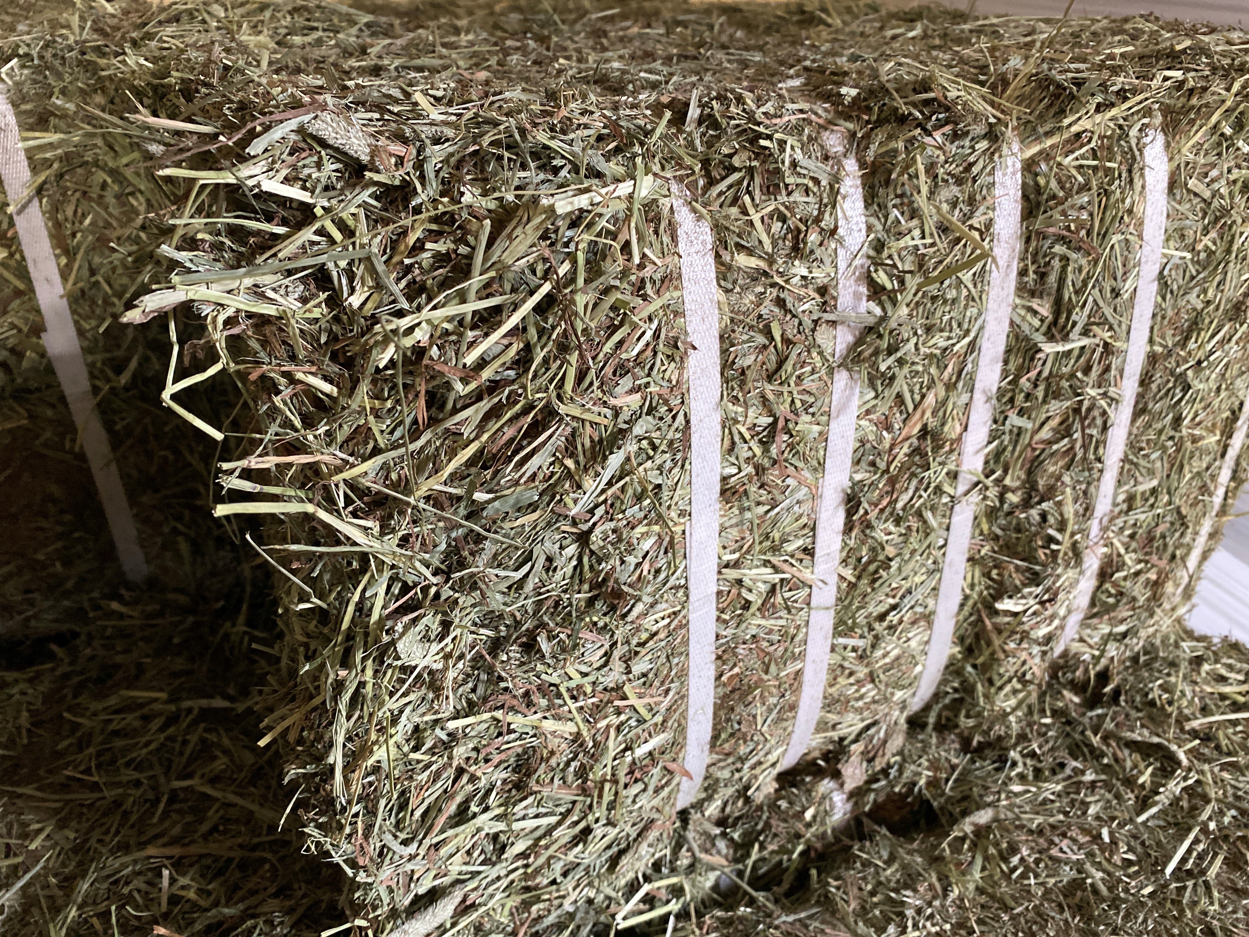 Gentle EasyFeed - Compressed Hay Bale