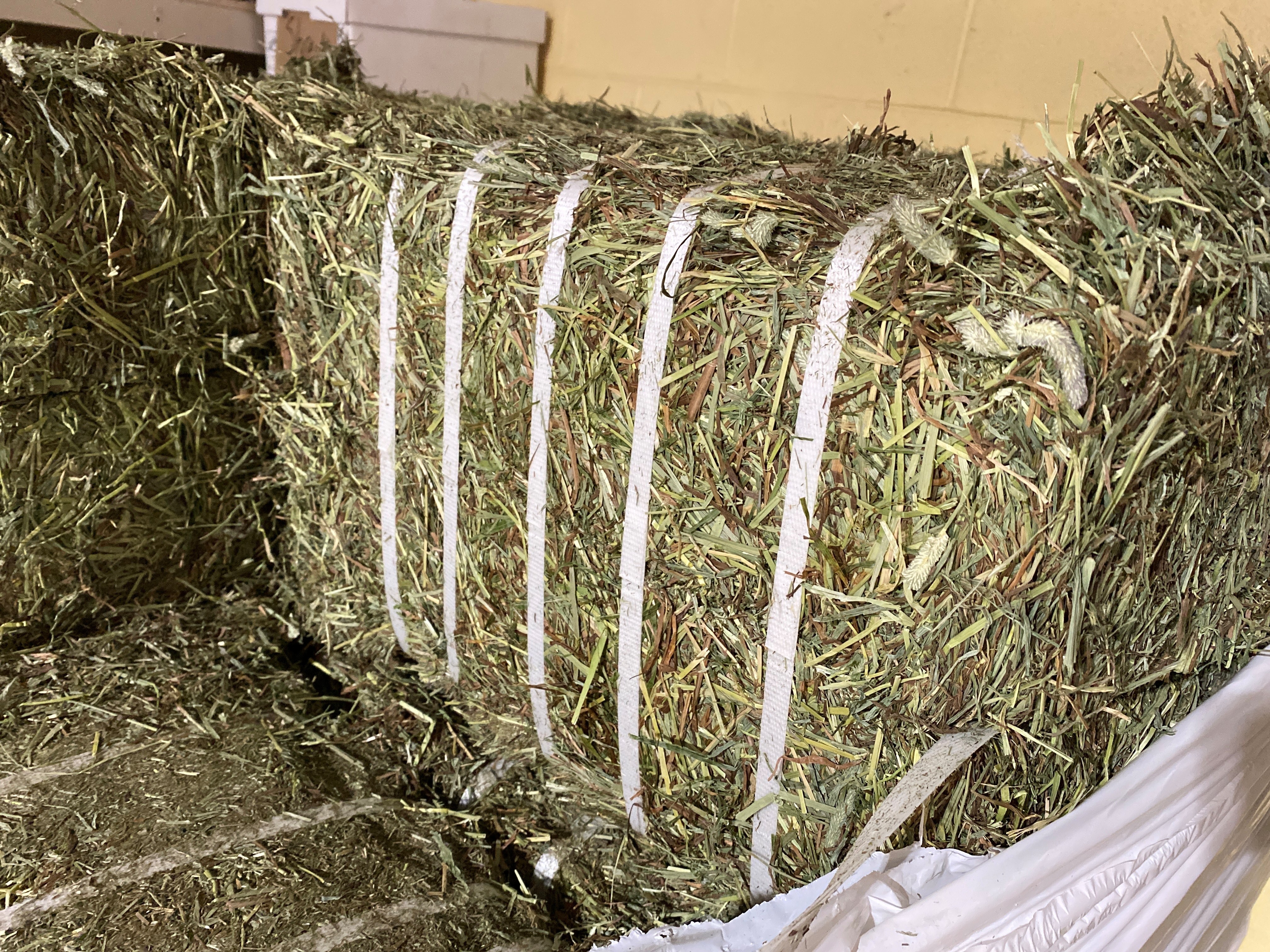 Sport EasyFeed - Compressed Hay Bales