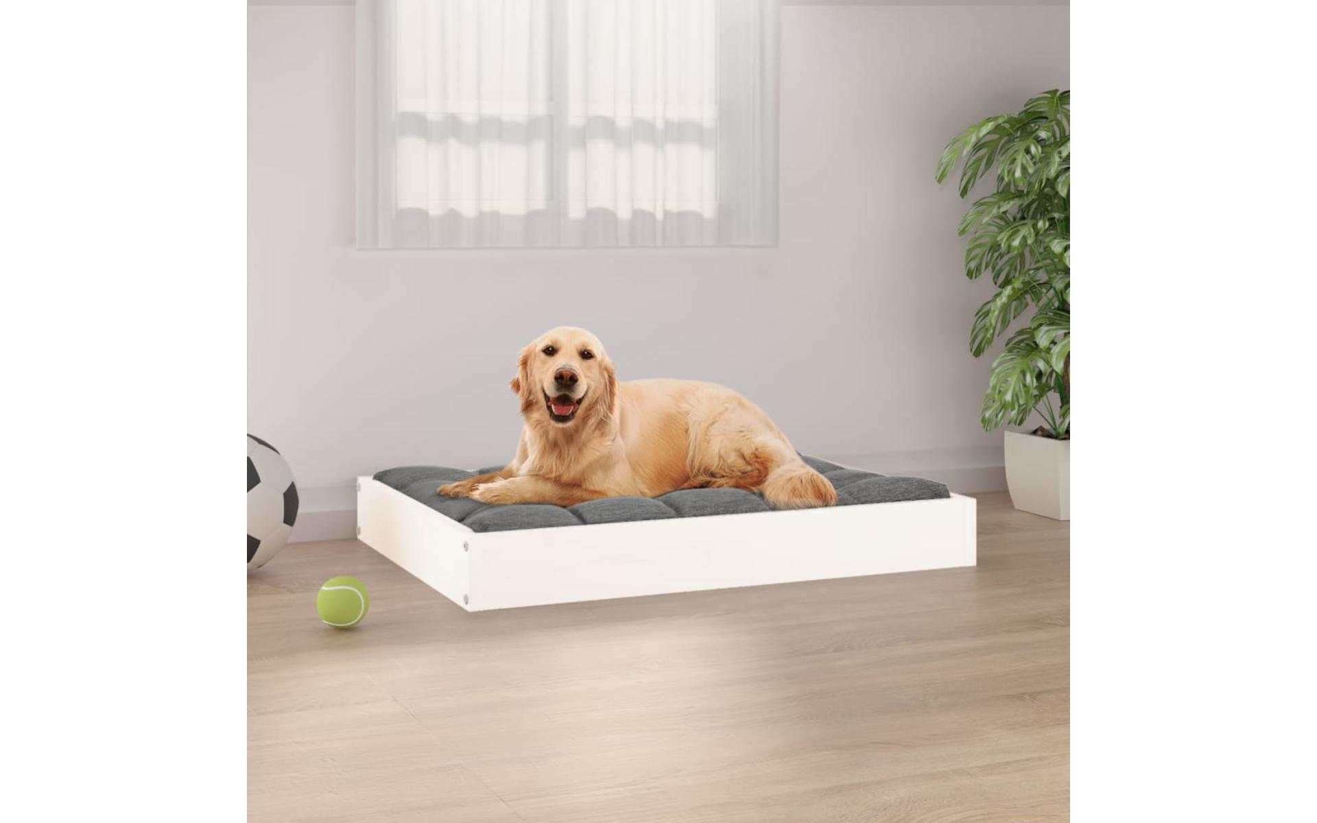 Dog bed White 71.5x54x9 cm Solid pine wood