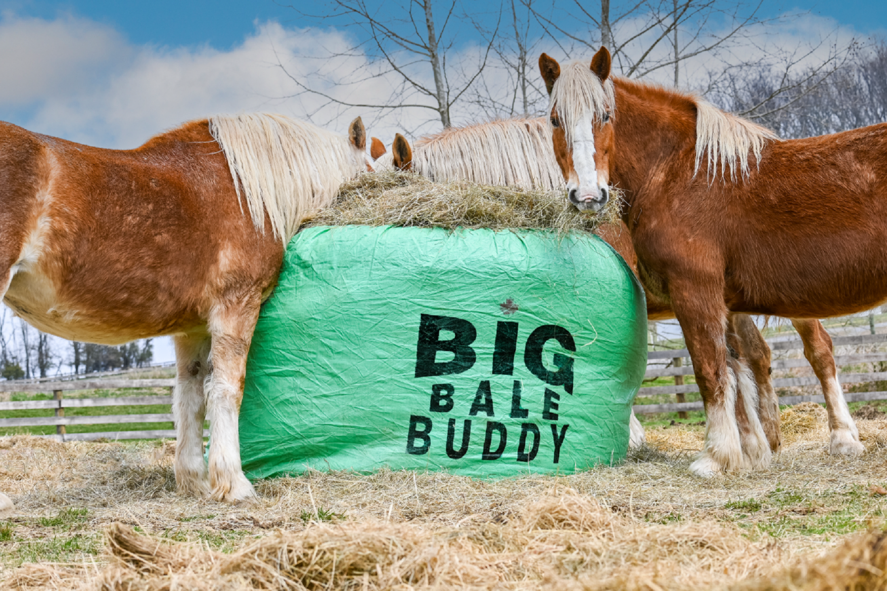 EXTRA-LARGE BIG BALE BUDDY