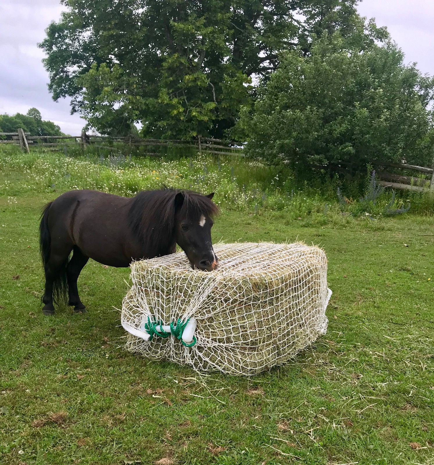 DOUBLE MINI SLOW BALE BUDDY