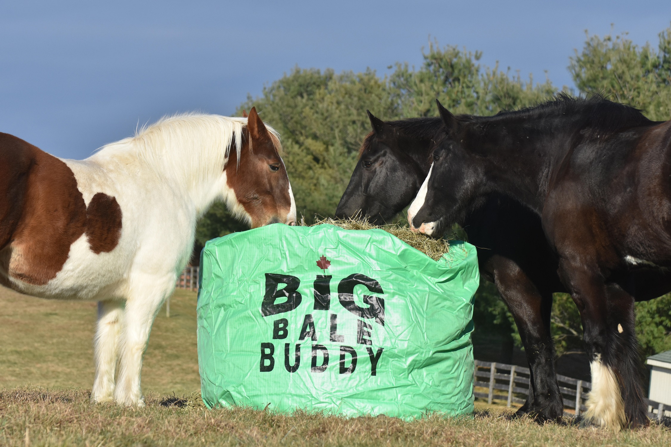 LARGE BIG BALE BUDDY