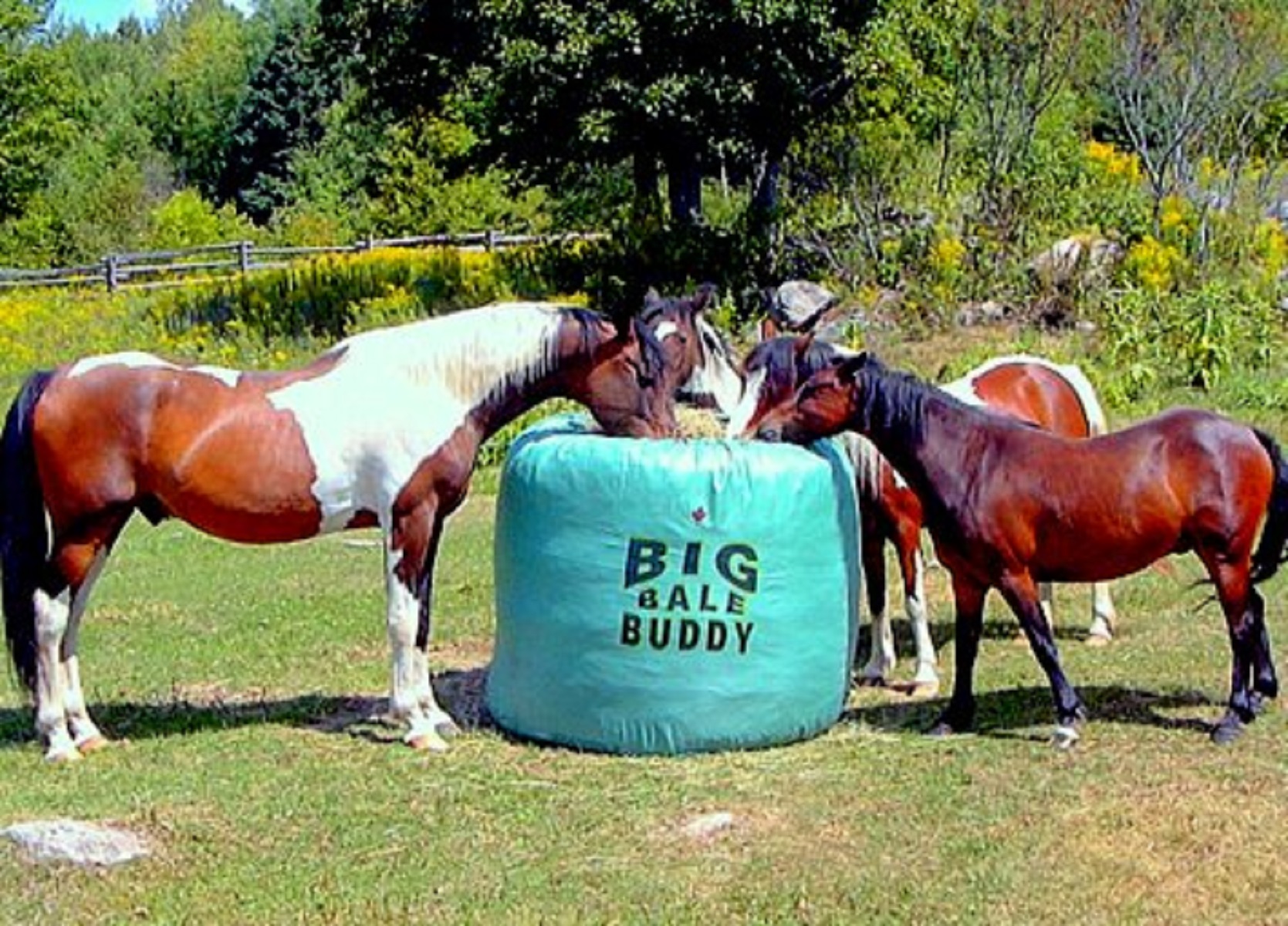 SMALL BIG BALE BUDDY