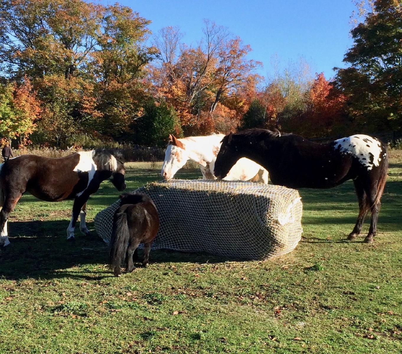 LARGE SQUARE SLOW BALE BUDDY