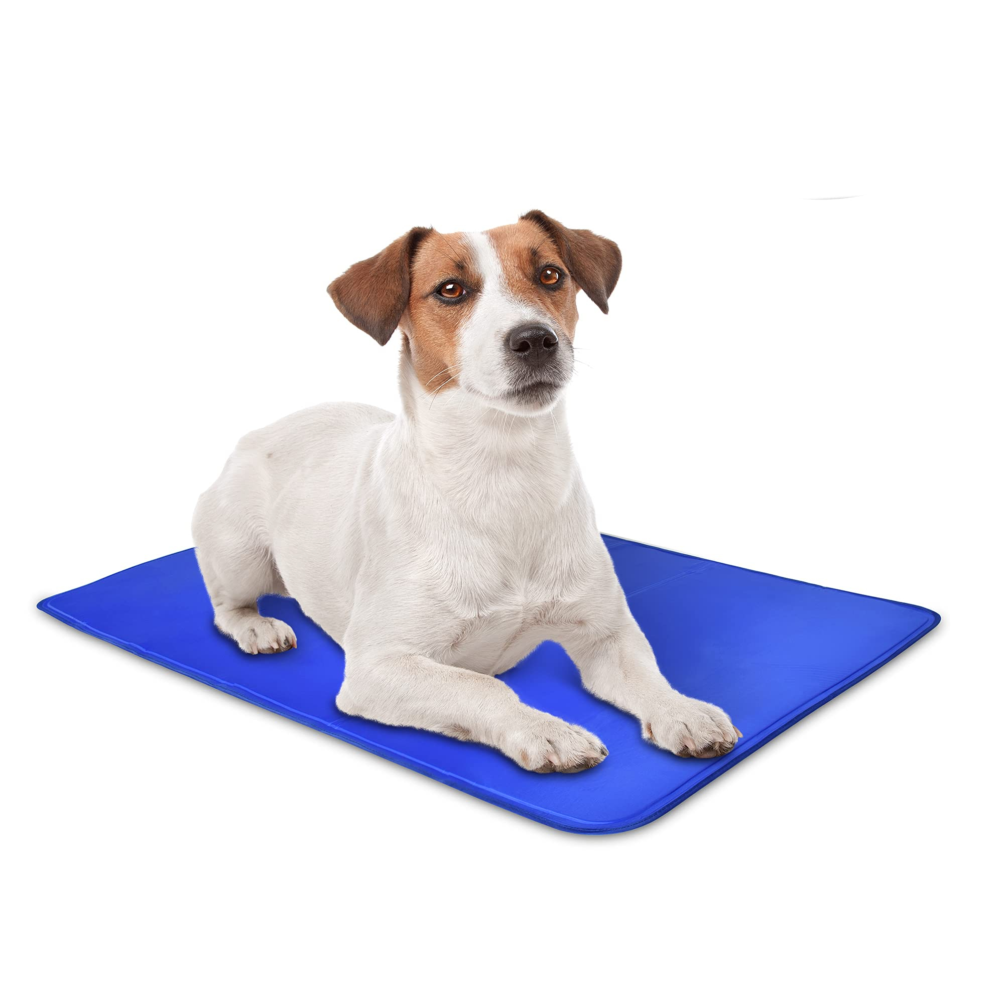 Arf Pets Dog Cooling Mat, Durable Non-Toxic Gel Dog Bed Mat