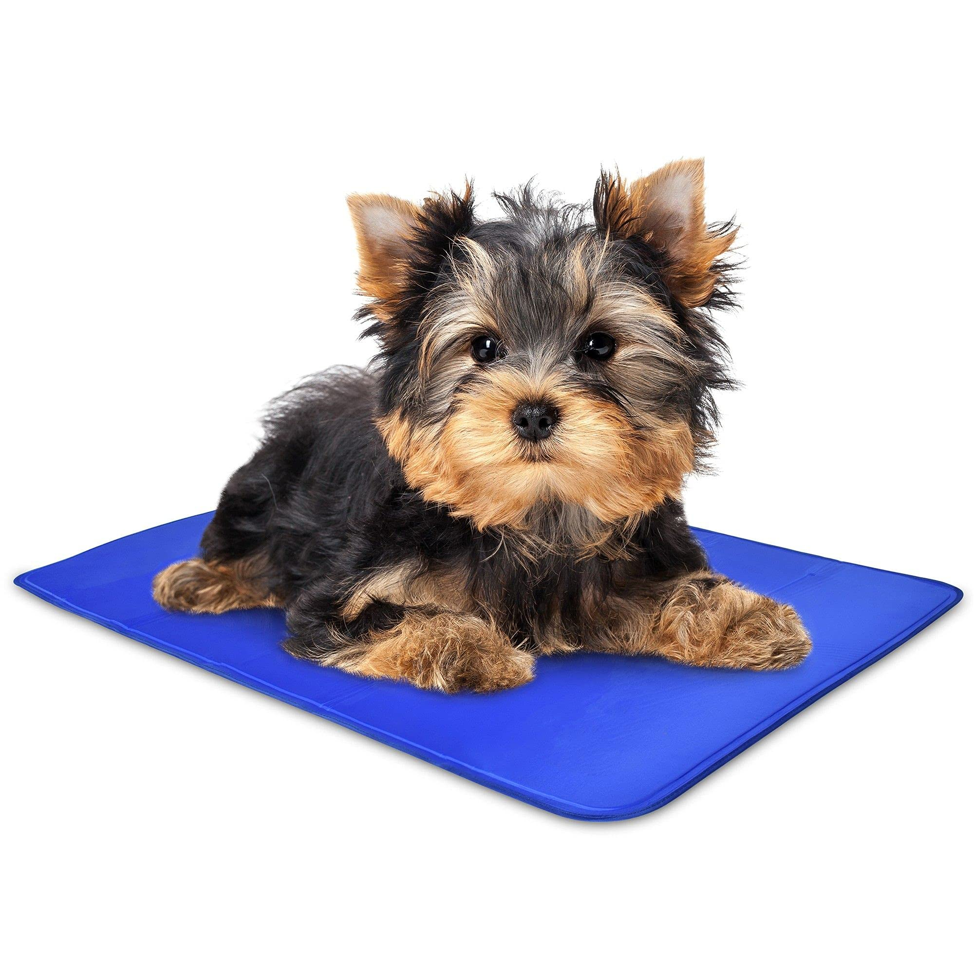 Arf Pets Dog Cooling Mat, Durable Non-Toxic Gel Dog Bed Mat