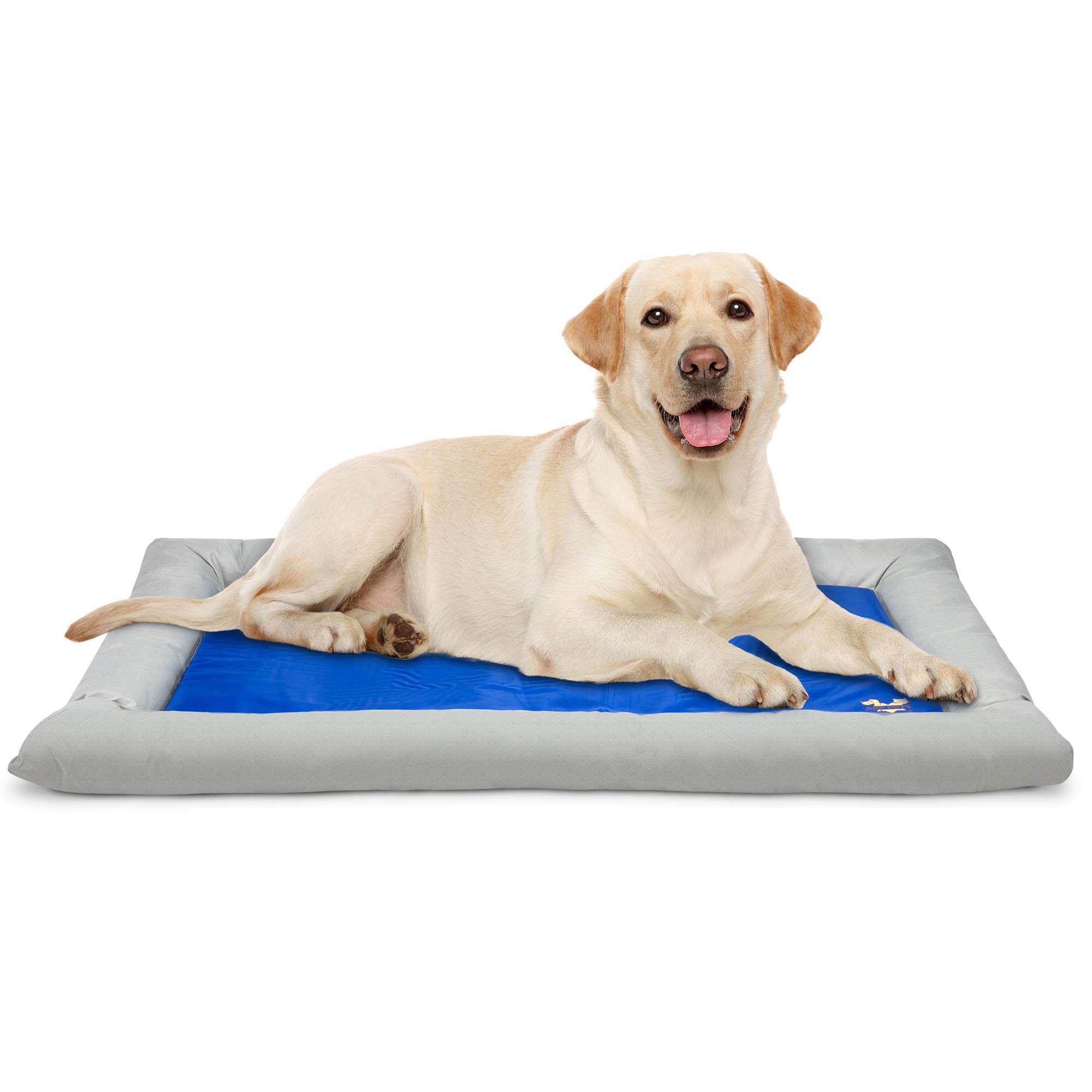 Arf Pets Dog Cooling Mat, Pet Cooling Mat with Foam