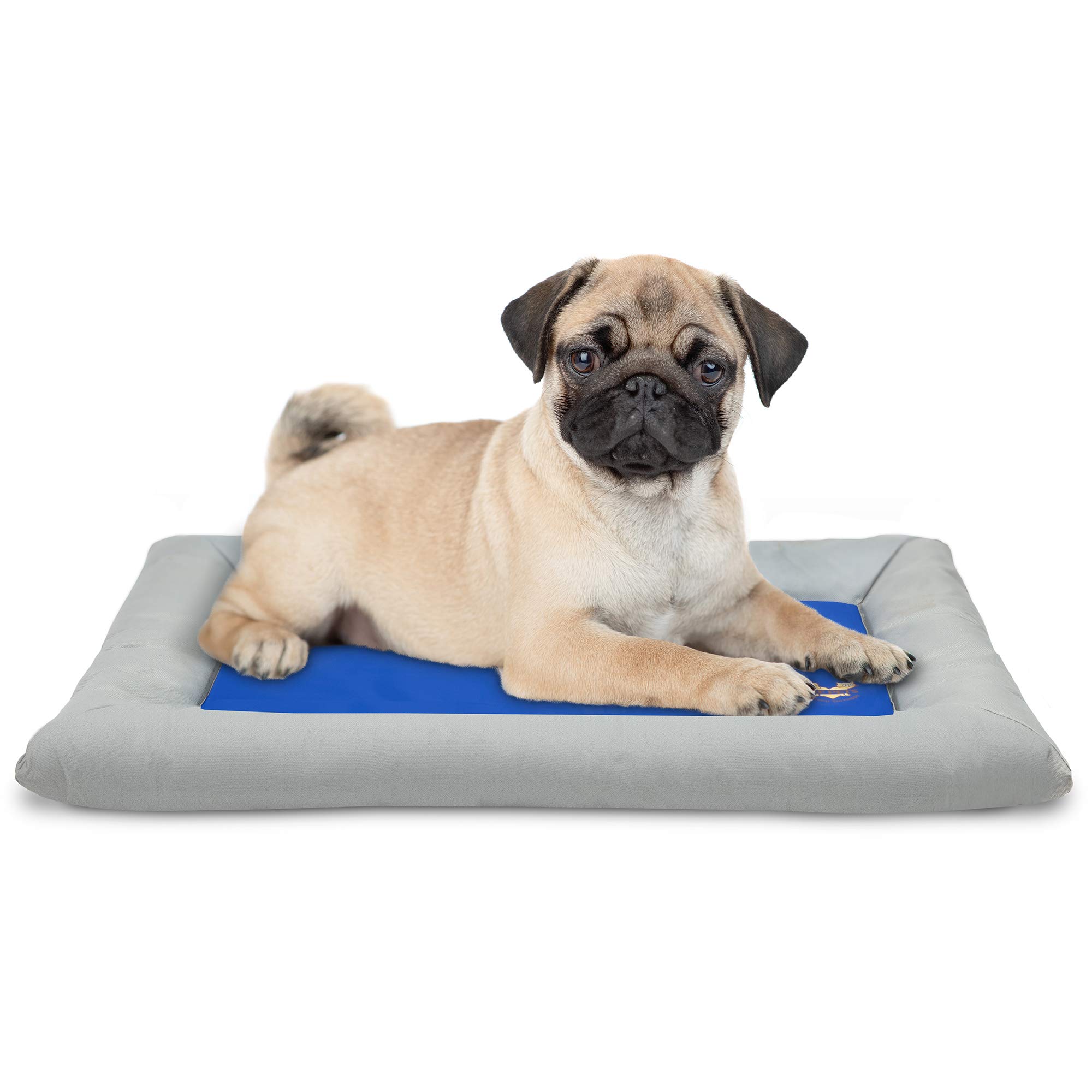 Arf Pets Dog Cooling Mat, Pet Cooling Mat with Foam